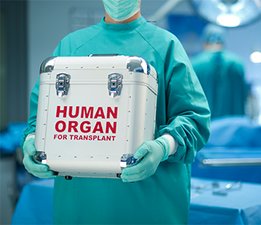 [Translate to Schweiz - deutsch:] Nurse holding a human organ box